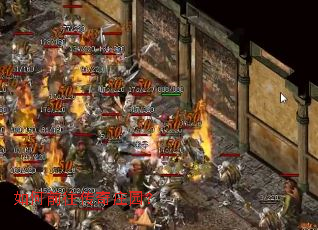 ���ǰ������ׯ԰��