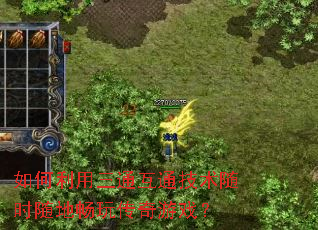 ���������ͨ��ͨ������ʱ��س��洫����Ϸ��