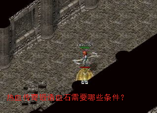 ��Ѫ�������Ѫʯ��Ҫ��Щ������