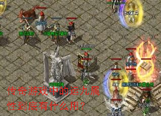 ������Ϸ�е��˾����Ե�����ʲô�ã�