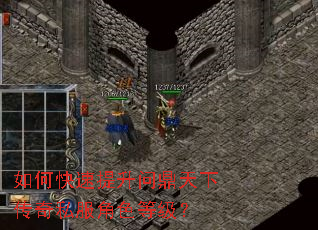 如何快速提升问鼎天下传奇私服角色等级? 如何快速提升问鼎天下传奇私服角色等级?