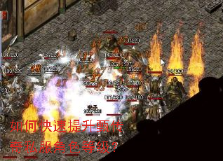 如何快速提升甄传奇私服角色等级? 如何快速提升甄传奇私服角色等级?