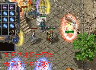 如何快速提升甄传奇私服角色等级? 如何快速提升甄传奇私服角色等级?