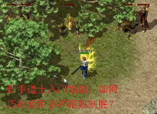 新手道士入门指南:如何巧妙运用多样招数制胜? 新手道士入门指南:如何巧妙运用多样招数制胜?