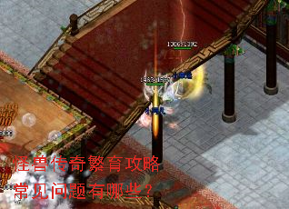 怪兽传奇繁育攻略常见问题有哪些? 怪兽传奇繁育攻略常见问题有哪些?