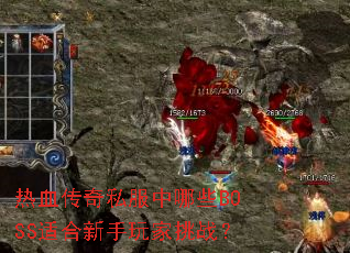 ��Ѫ����˽������ЩBOSS�ʺ����������ս��