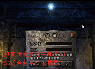 ��Ѫ����˽������ЩBOSS�ʺ����������ս��