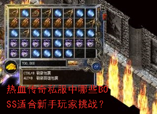 ��Ѫ����˽������ЩBOSS�ʺ����������ս��