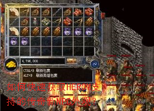 如何快速获取HEROM支持的传奇新NPC外观? 如何快速获取HEROM支持的传奇新NPC外观?