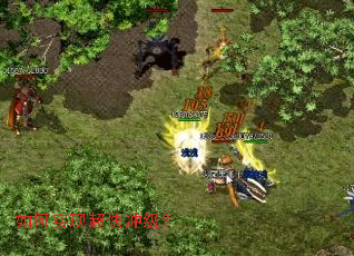 ���ʵ�ֳ���弶��