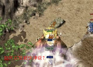 ���ʵ�ֳ���弶��