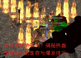 法师真的脆弱吗?揭秘热血传奇法师的生存与爆发技巧 法师真的脆弱吗?揭秘热血传奇法师的生存与爆发技巧