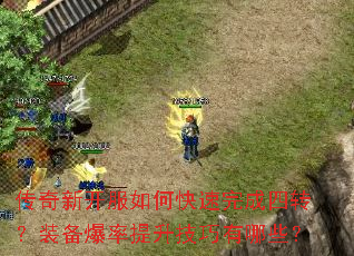 �����¿�����ο��������ת��װ������������������Щ��