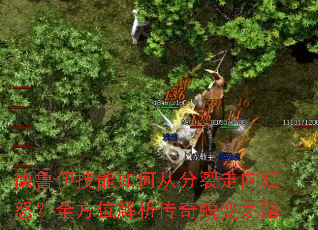 德鲁伊技能如何从分裂走向狂怒?全方位解析传奇蜕变之路 德鲁伊技能如何从分裂走向狂怒?全方位解析传奇蜕变之路