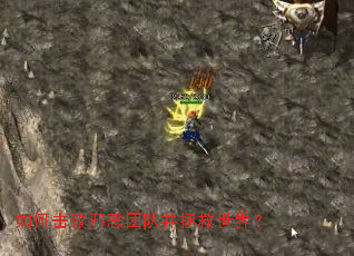 ��λ���а���ŶӲ��������磿