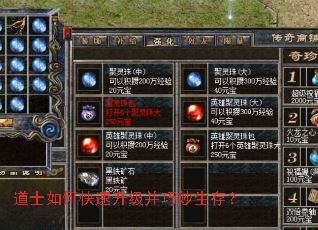 道士如何快速升级并巧妙生存? 道士如何快速升级并巧妙生存?