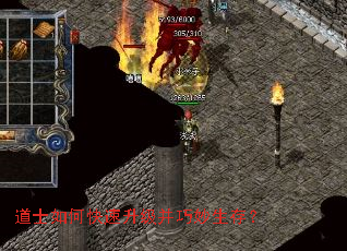 ��ʿ��ο����������������棿