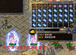 ����๳è�����������ҵ���