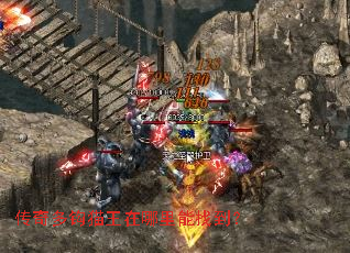 ����๳è�����������ҵ���