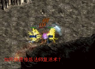 ��ο���������ʦ��������