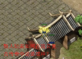 ɢ�������������Ƹ��Ŵ�������Ϯ����