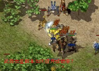 �������ǽű���������ɹ��ʣ�