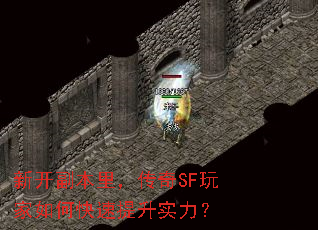 �¿����������SF�����ο�������ʵ����