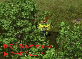 �������߻�����Ʒ���������ɫս����