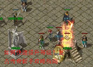 ��ο��������ȼ������Ŵ������ֹ���ָ��