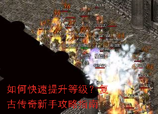 ��ο��������ȼ������Ŵ������ֹ���ָ��