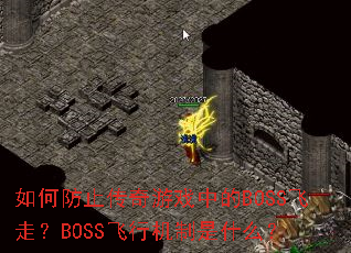 ��η�ֹ������Ϸ�е�BOSS���ߣ�BOSS���л�����ʲô��