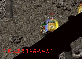 ��ο�����������ս������