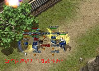 ��ο�����������ս������