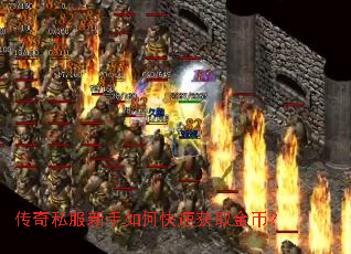 ����˽��������ο��ٻ�ȡ��ң�