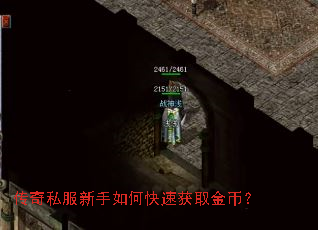 ����˽��������ο��ٻ�ȡ��ң�