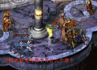 �����ڳ��䴫������ʲô���ã�