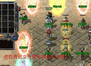 �����ڳ��䴫������ʲô���ã�