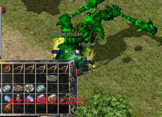 ��ʿ��������޵���