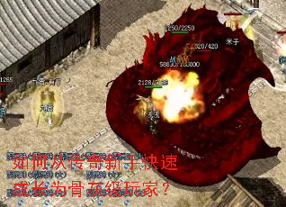 ��δӴ������ֿ��ٳɳ�Ϊ�ǻҼ���ң�