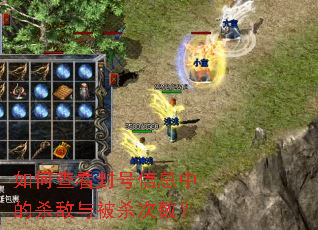 ��β鿴�����Ϣ�е�ɱ���뱻ɱ������