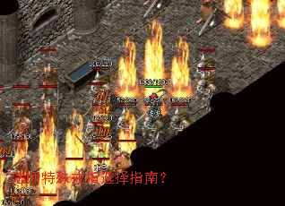 ��ʦ�����ָѡ��ָ�ϣ�