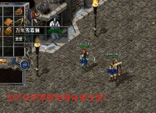 ��ο�������Ӣ�ۺϻ����ܣ�