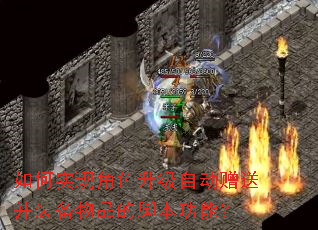 ���ʵ�ֽ�ɫ�����Զ����Ͳ�װ����Ʒ�Ľű����ܣ�