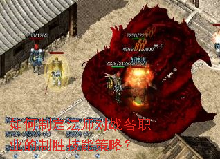 ����ƶ���ʦ��ս��ְҵ����ʤ���ܲ��ԣ�