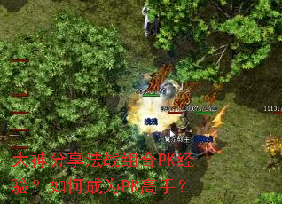 大神分享法战组合PK经验?如何成为PK高手? 大神分享法战组合PK经验?如何成为PK高手?