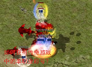 ��λ�ô�����Ϸ�еĵ�ְҵ�ƺţ�