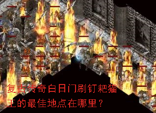 ���Ŵ��������ˢ����è������ѵص������