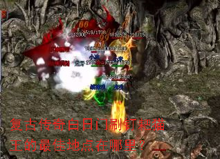 ���Ŵ��������ˢ����è������ѵص������