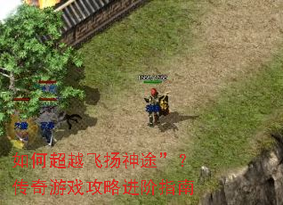 ��γ�Խ������;����������Ϸ���Խ���ָ��