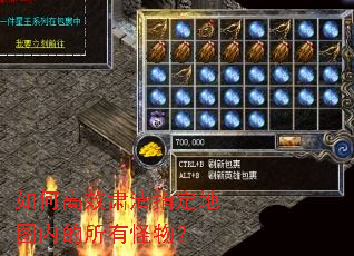 如何高效肃清指定地图内的所有怪物? 如何高效肃清指定地图内的所有怪物?